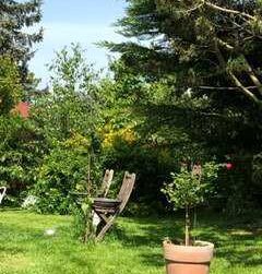 3.5 Rooms Flat, Apartment with garden