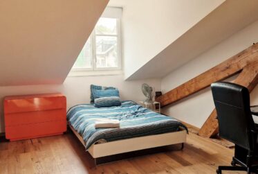 Carouge - appartement de 5 pièces en duplex