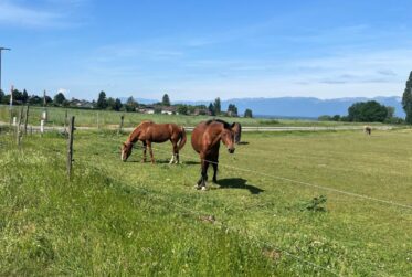 Furnished 2 bedroom house to rent in Chens sur Léman