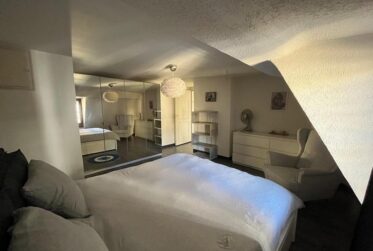 Fully furnished Duplex - Avenue theodore Weber