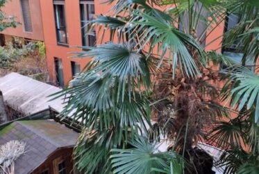 3 Rooms Appartement