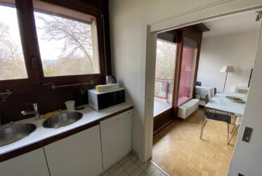Appartement spacieux