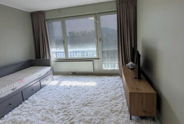 Renovated 6-Room Apartment with Balconies and Salève Views in Champel, Geneva