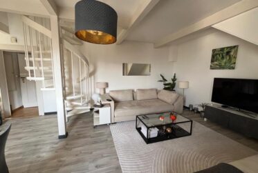 Fully furnished Duplex - Avenue theodore Weber