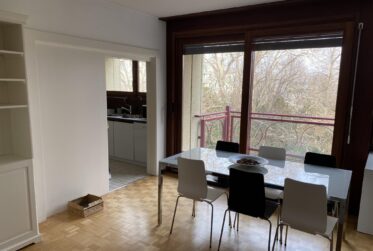 Appartement spacieux