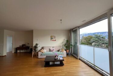 7,5 pcs - Petit Lancy