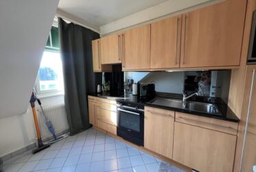 Fully furnished Duplex - Avenue theodore Weber