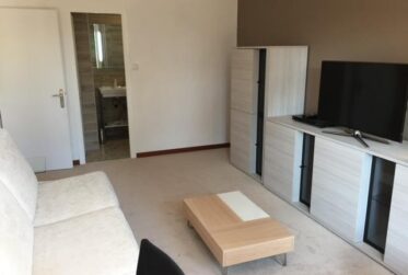 Fully furnished renovated studio with balcony for rent in Ambilly, near Geneva