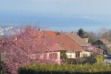 Maison mitoyenne