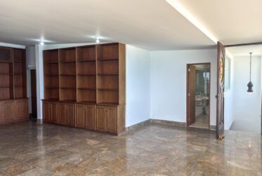 Splendide Penthouse Duplex