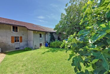 7 Rooms House