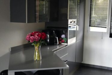 Furnished House Viry Salève View