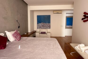 Luxueux penthouse