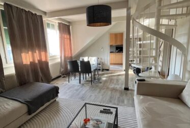 Fully furnished Duplex - Avenue theodore Weber