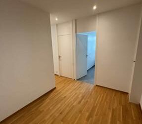 77 sqm, 5-room apartment for rent on Rue Marignac, Geneva - Lease takeover