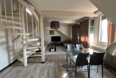 Fully furnished Duplex - Avenue theodore Weber