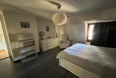 Fully furnished Duplex - Avenue theodore Weber